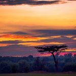 WatfordSunset 1